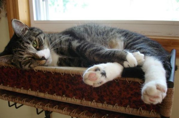 Two Socks
